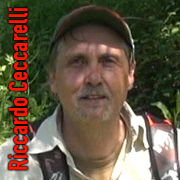 Riccardo Ceccarelli
