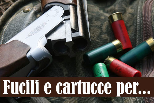 fucili e cartucce da caccia