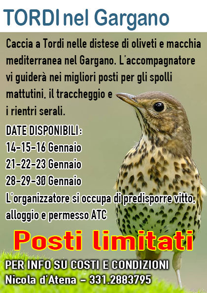 datena caccia tordi