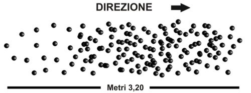 sciame pallini da caccia